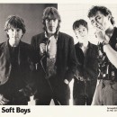 The Soft Boys