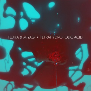 Fujiya & Miyagi Tetrahydrofolic Acid Yep Roc Records