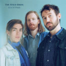 The Stray Birds Let It Pass Yep Roc Records
