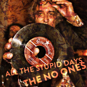 The No Ones All The Stupid Days Yep Roc Records